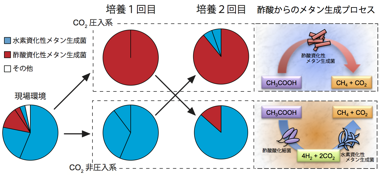 201306NatComm_fig_kamagata