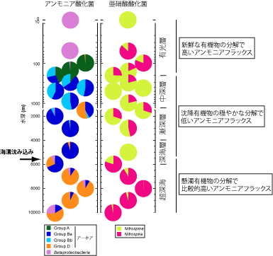 2015PNAS_Nunoura